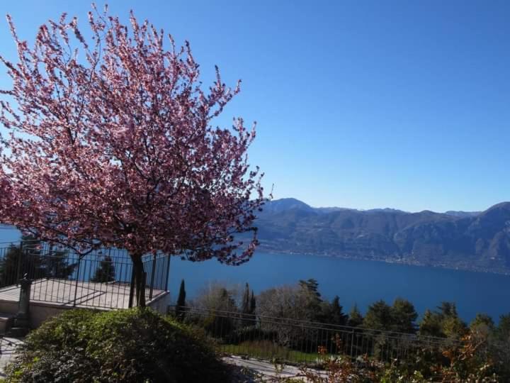 Villa Le Bottesele San Zeno di Montagna Exterior foto